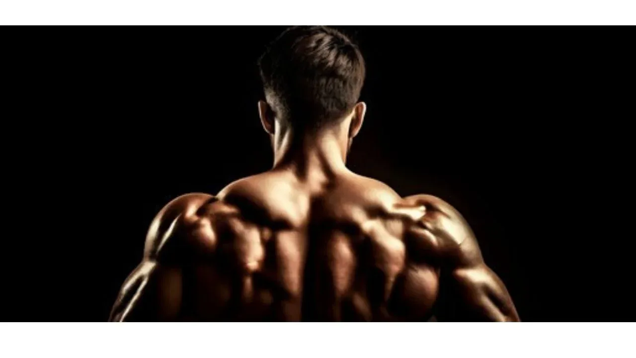 Alvgear and Testosterone Cypionate 200 – Complete Overview of Uses, Risks & Safety